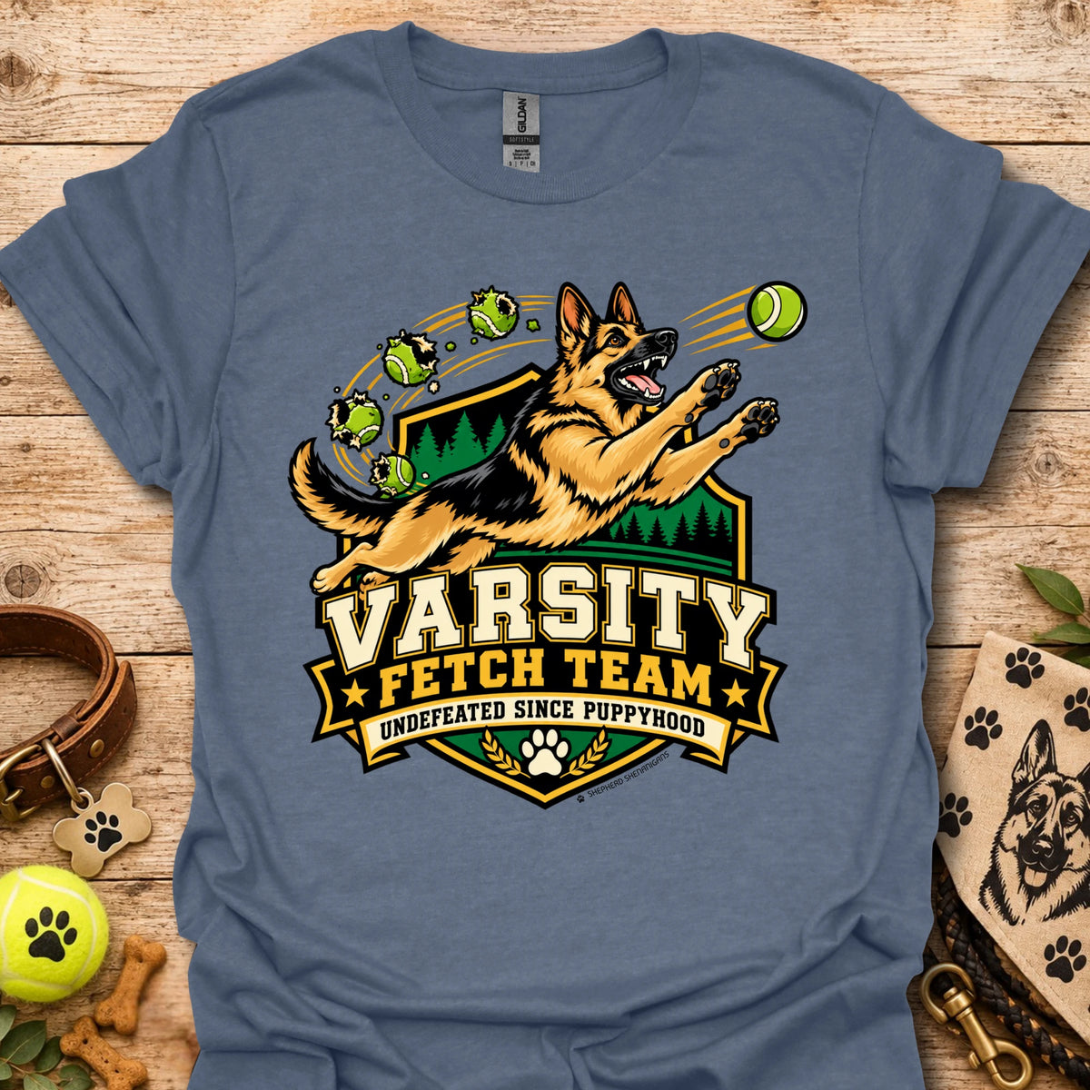 Charcoal varsity-style team t-shirt with dog mascot and Varsity Fetch Team crest
