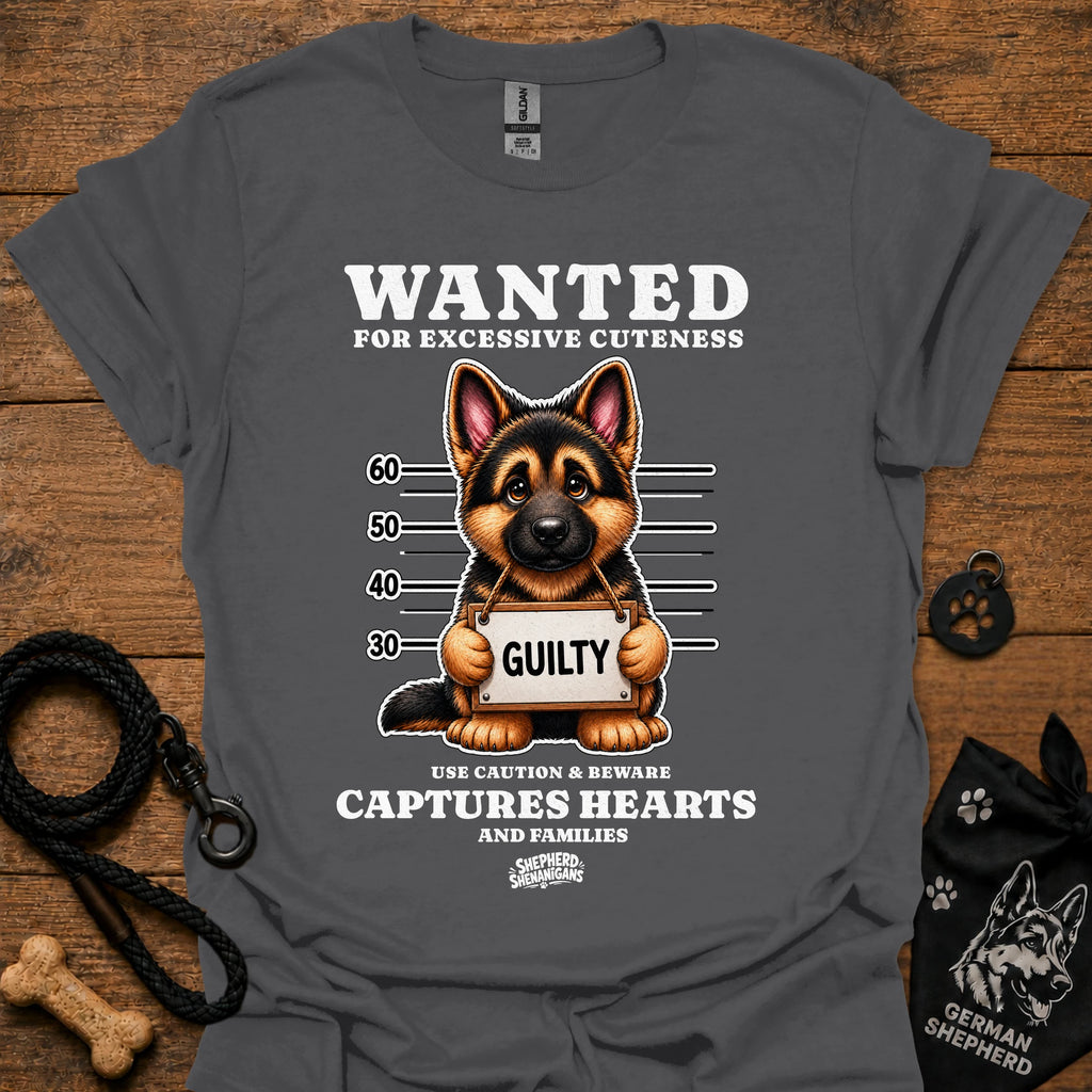 Graphic dog t-shirt in charcoal gray with crew neck and front 'Wanted' print