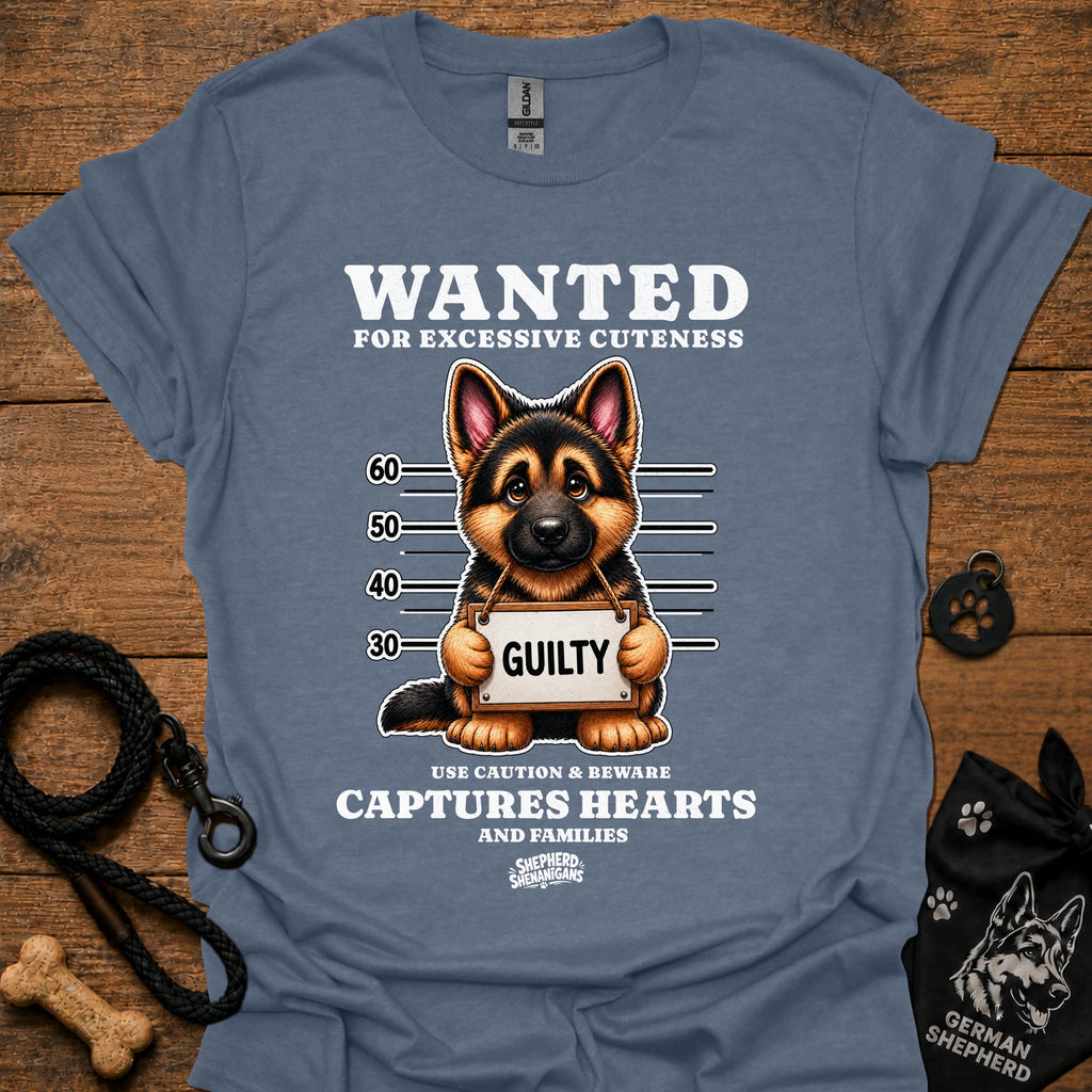 Graphic dog t-shirt in steel blue with crew neck and front 'Wanted' print